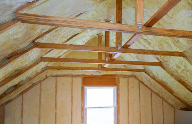 Best Eco-Friendly Insulation in Travis Ranch, TX