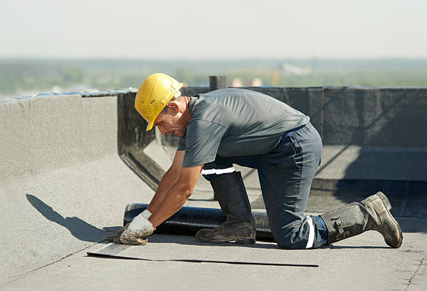 Best Insulation Maintenance and Repair in Travis Ranch, TX