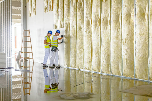Best Cellulose Insulation in Travis Ranch, TX